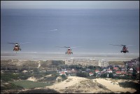 /album/baf-seaking-mk481/img-2623-kopie-lowres-jpg/